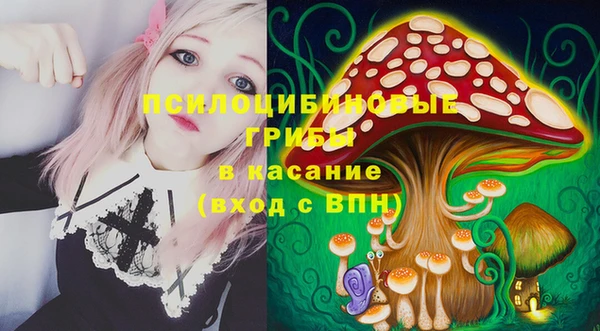 амф Белокуриха