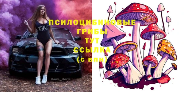 амф Белокуриха